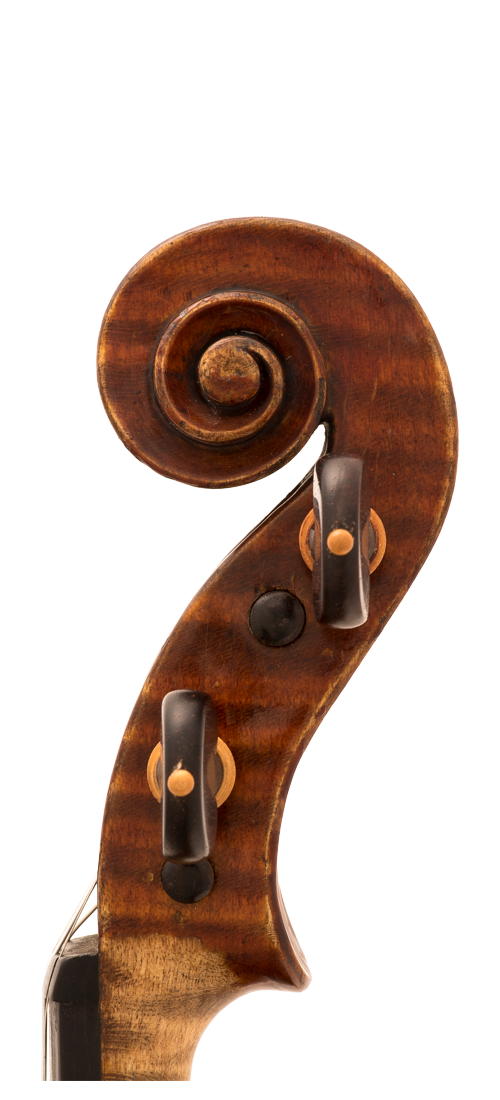 albanelli-violin-head-x011.png