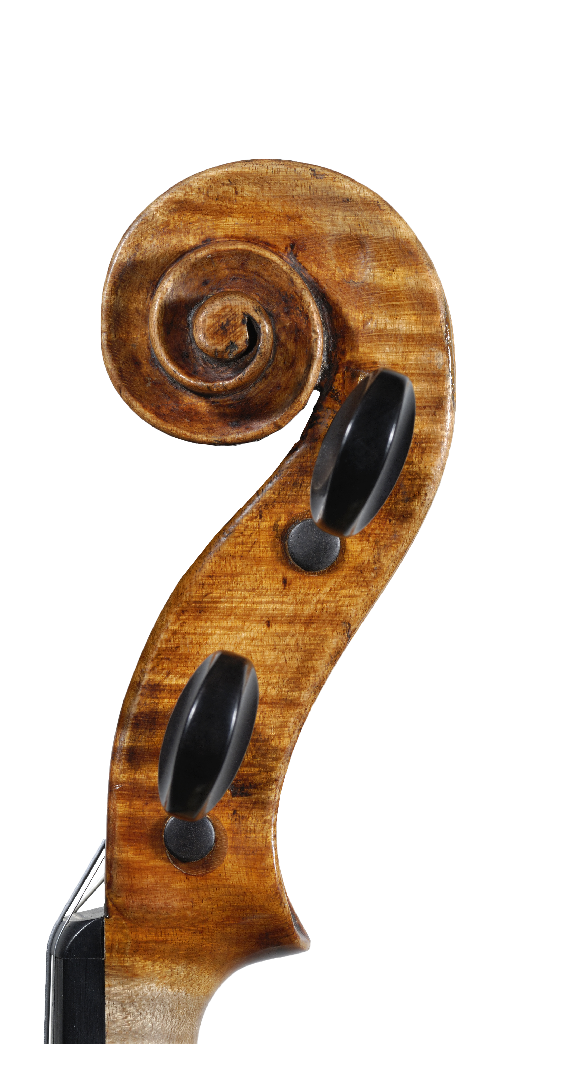 Vincenzo Panormo | Drupal