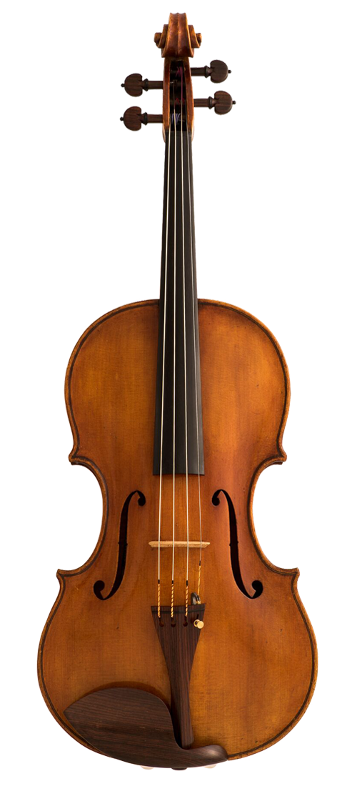 peternella-viola-front-x007.png