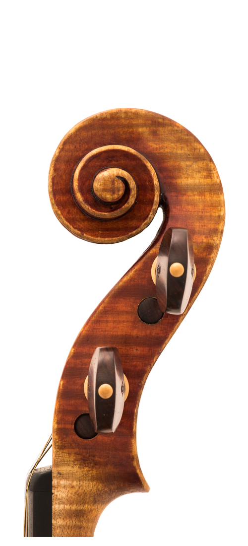 Violin by Igino Sderci | ossia バイオリン販売