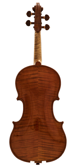 Franco Albanelli Violin Back