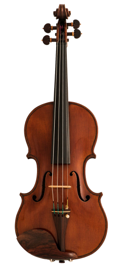 Franco Albanelli Violin Front
