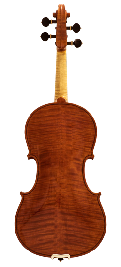 Federico Ascari Violin Back