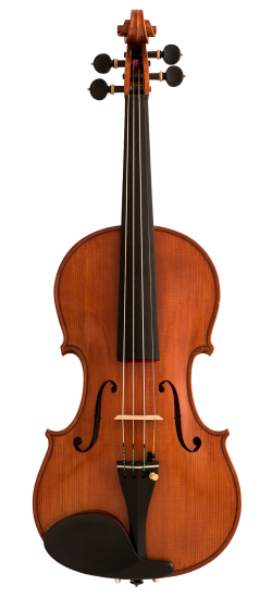 Federico Ascari Violin Front