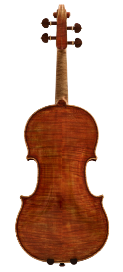 Igino Sderci Violin Back