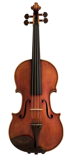 Igino Sderci Violin Front